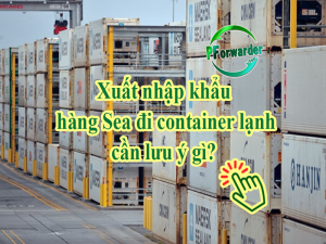 hang sea di container lanh