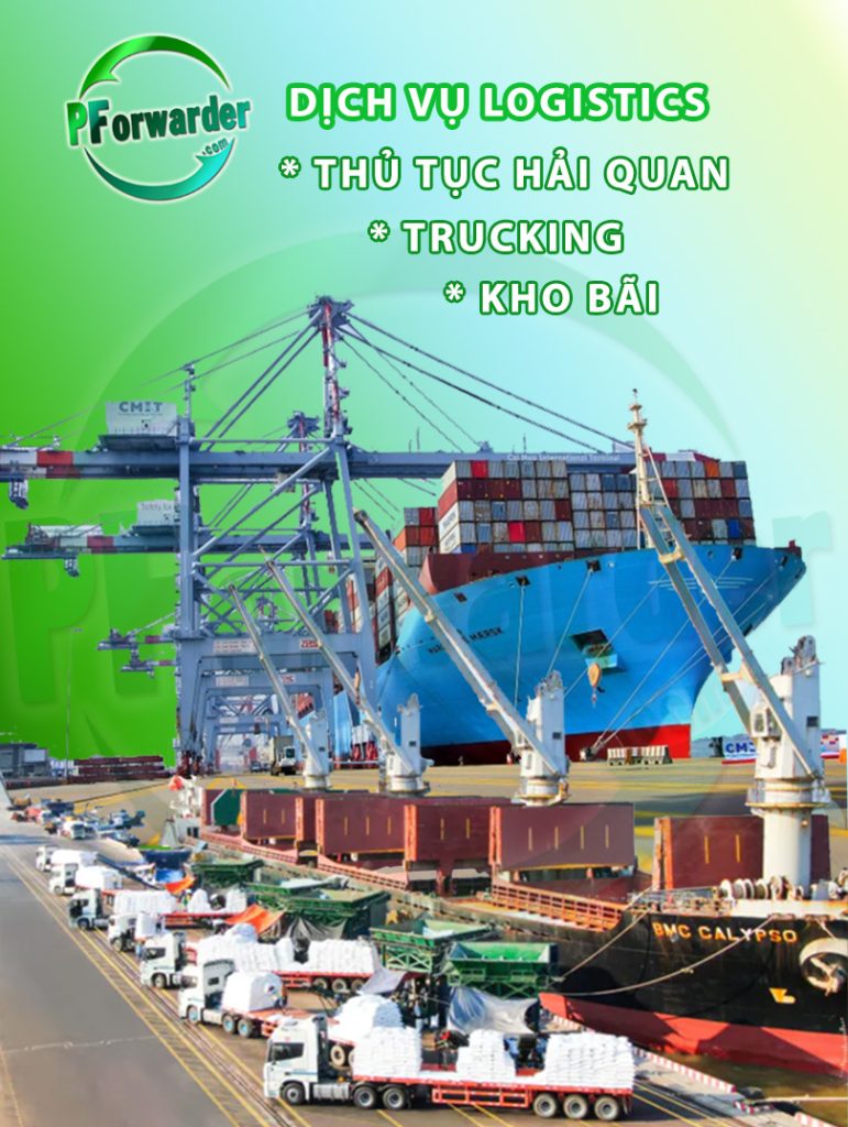 pforwarder co dich vu gi