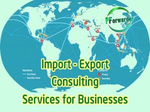 tu van xuat nhap khau cho doanh nghiep